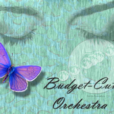 Budget-Cut Orchestra
