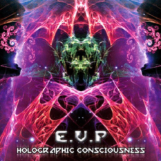 Holographic Consciousness
