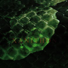 Xanithon