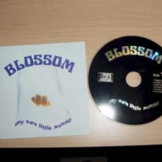 Blossom UK