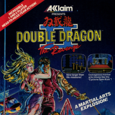 Double Dragon II