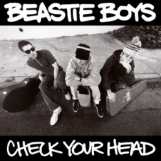 Check Your Head