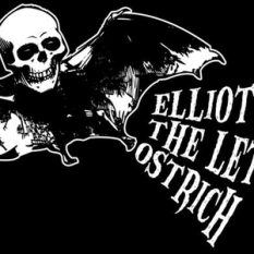 Elliott The Letter Ostrich