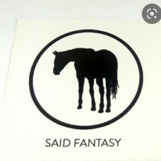 Said Fantasy