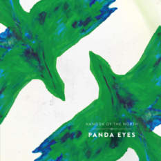 Panda Eyes