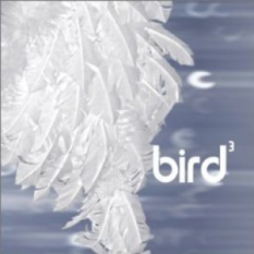 Bird3