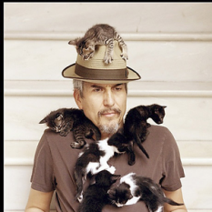 howe gelb and a band of gypsies