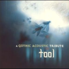 A Gothic Acoustic Tribute To Tool