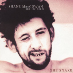 Shane MacGowan & the Popes