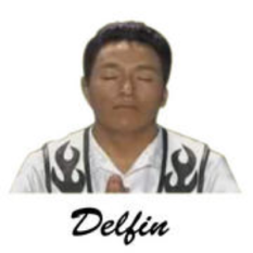 Delfín