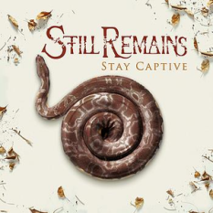 Stay Captive
