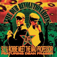 Sly & Robbie Meet The Mad Professor