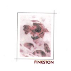 PiNKSTON