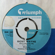 Ricky Wayne & The Flee-Rakkers