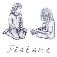 Platane
