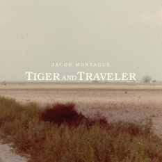 Tiger and Traveler