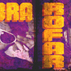 Cobra & DJ Rofar
