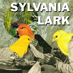 Sylvania Lark