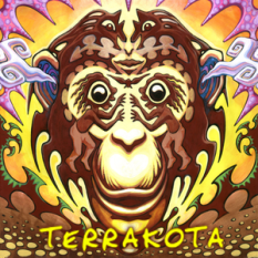 Terrakota