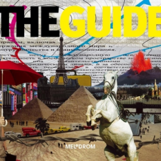 The guide