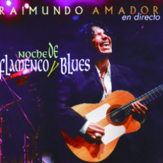 Noche De Flamenco y Blues