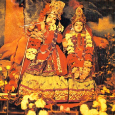 Krishna Devotees