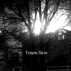 Totem Skin