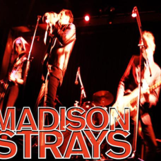 Madison Strays