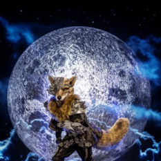 The Masked Singer: Wolf