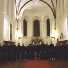 The Orthodox Singers Male Choir