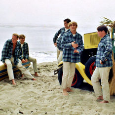 The Beach Boys