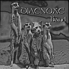 Diaenoxe Band