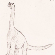 Sauropodamorpha