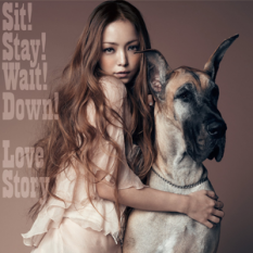 Sit! Stay! Wait! Down! / Love Story