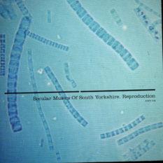 Secular Musics Of South Yorkshire