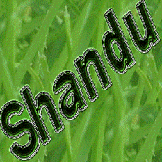 Shandu