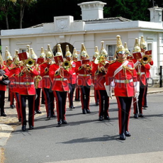 The Band of the Life Guards