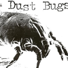 Dust Bugs