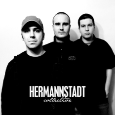 Hermannstadt Collective