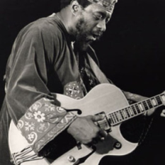 James 'Blood' Ulmer