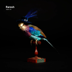 fabric 78: Raresh