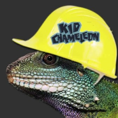 KidChameleon