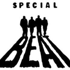 The Special Beat