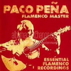 Flamenco Master
