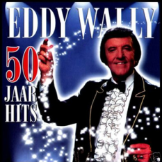 50 jaar hits