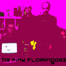 The Pink Flamingoes