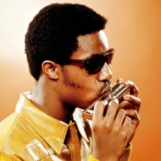 Stevie Wonder