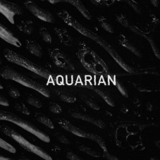 Aquarian