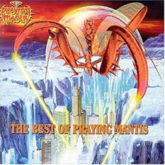 The Best of Praying Mantis
