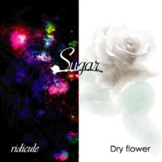 ridicule/Dry flower